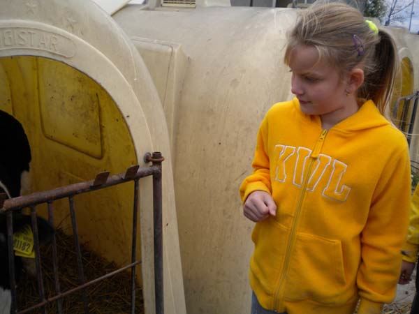 Deti za kravou 081 My a teliatka